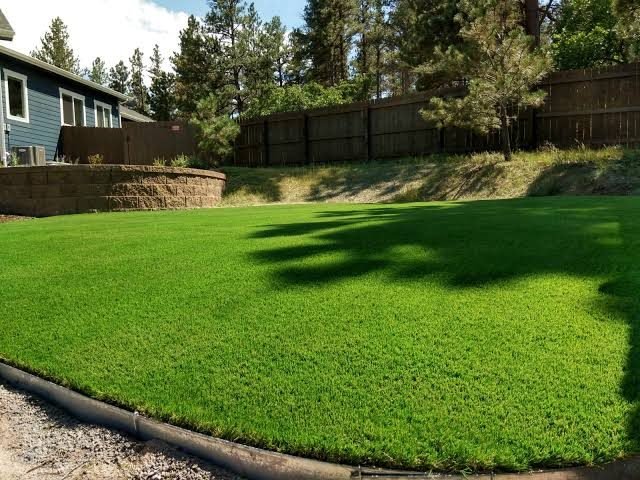 artificial grass landscape design example